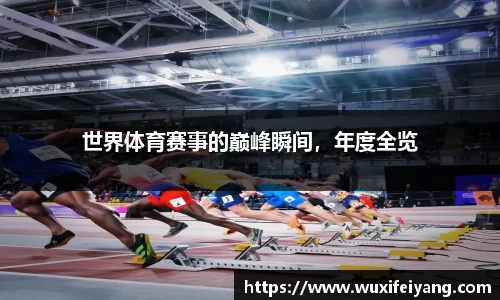 世界体育赛事的巅峰瞬间，年度全览