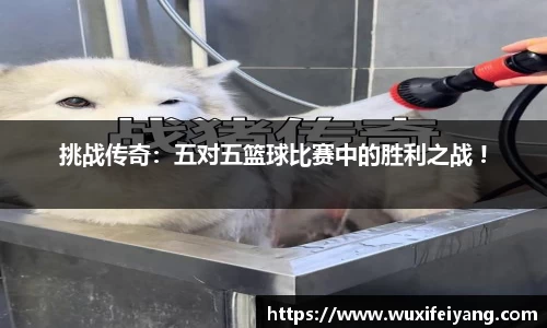 挑战传奇：五对五篮球比赛中的胜利之战 !